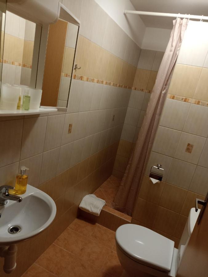Penzion U Haliru Mladé Buky Dış mekan fotoğraf